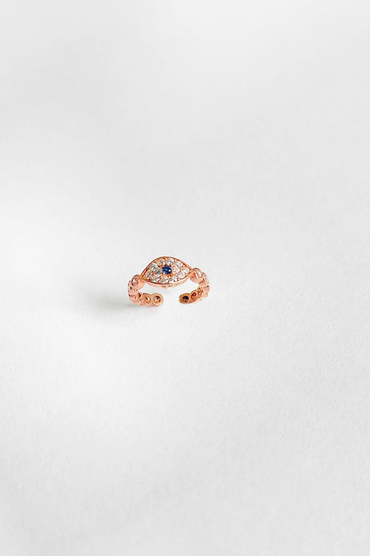 Eye Cartilage Silver Earrings