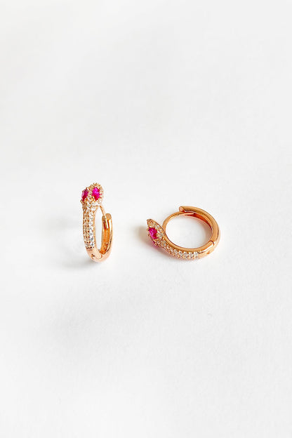 Coral Stone Eyed Snake Silver Earrings