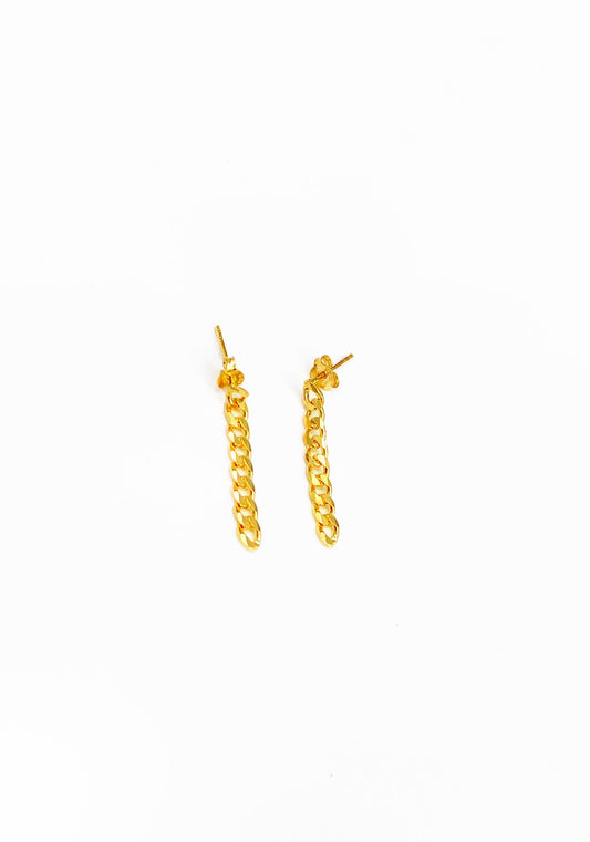 Gurmet Chain Silver Earrings
