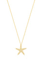 Starfish Silver Necklace